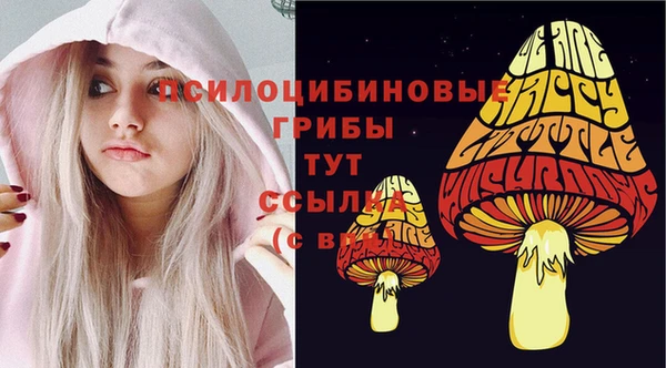 стафф Абаза
