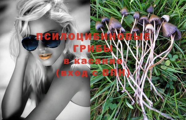 стафф Абаза