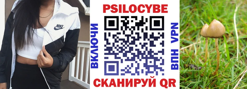 blacksprut ссылки  Кандалакша  Псилоцибиновые грибы Psilocybine cubensis 